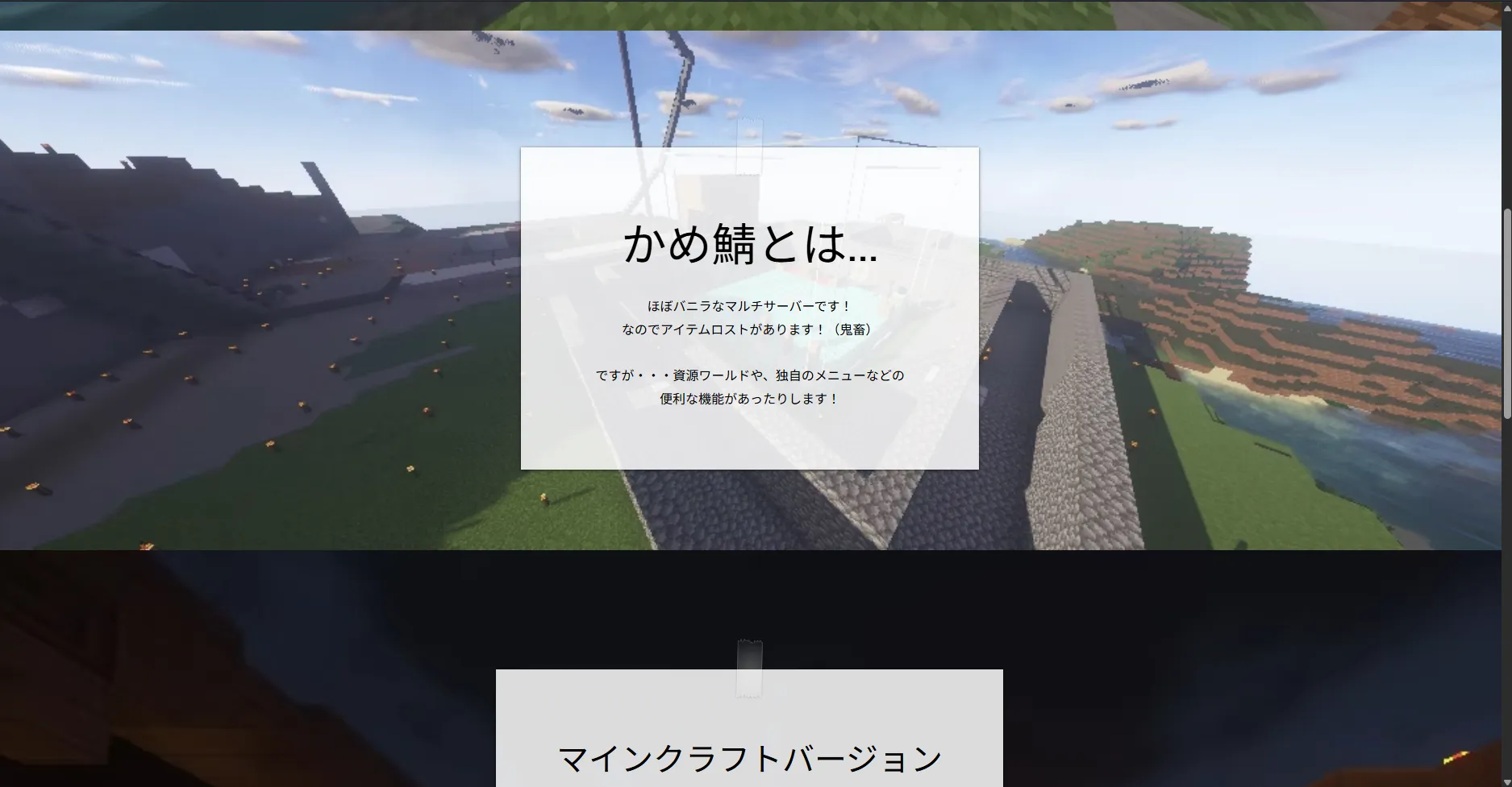かめ鯖 webサイト 2