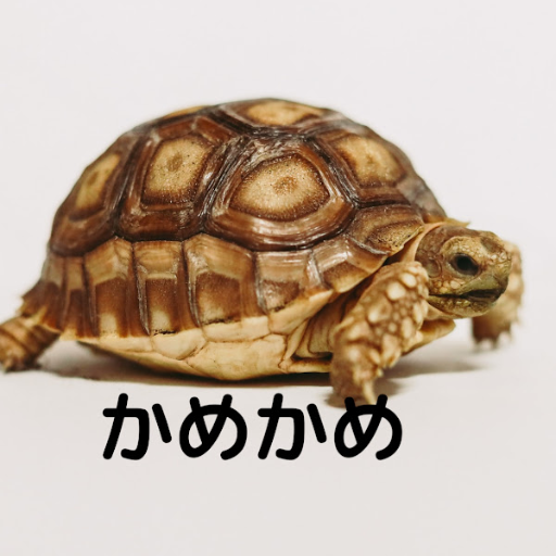 かめかめ